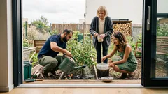 Zálivka z kvasnic, cukru a popela na rajčata: jednoduchý recept, ale jeden háček