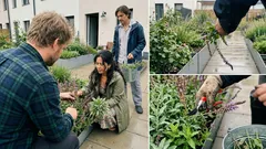 Šalvěj hajní: fialové „svíčky“ do záhonu, které vydrží mráz a umí kvést znovu