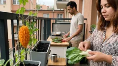 Momordika, mangold a pak-choi: jak je pěstovat, aby záhon vypadal skvěle a sklízel se dlouho