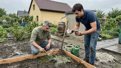 Zelený povlak na půdě na jaře: co znamená a jak ho odstranit bez chemie