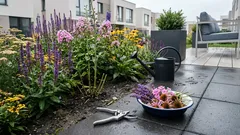 10 letních trvalek pro záhon, který kvete od června do srpna bez pauz