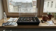 Co vysévat v březnu na sazenice: osvědčené letničky a detaily, které rozhodují