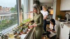 Vytáhlé sazenice na parapetu? Načasování hnojení rajčat a paprik, které dělá rozdíl