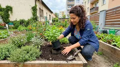 Škůdci v záhonech? 5 bylinek a „pomocných“ rostlin, které jim znepříjemní život (a kdy to nečekat)