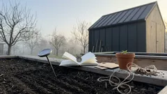 Dubnové výsevy bez zklamání: co sít a sázet v dubnu 2026 a kdy raději počkat