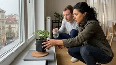 Sazenice nerostou, i když jsou zelené? Často za to může studený parapet