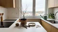 Tři odrůdy do tuhých zim: proč v chladnějších polohách raději sázet ovocné stromy na jaře